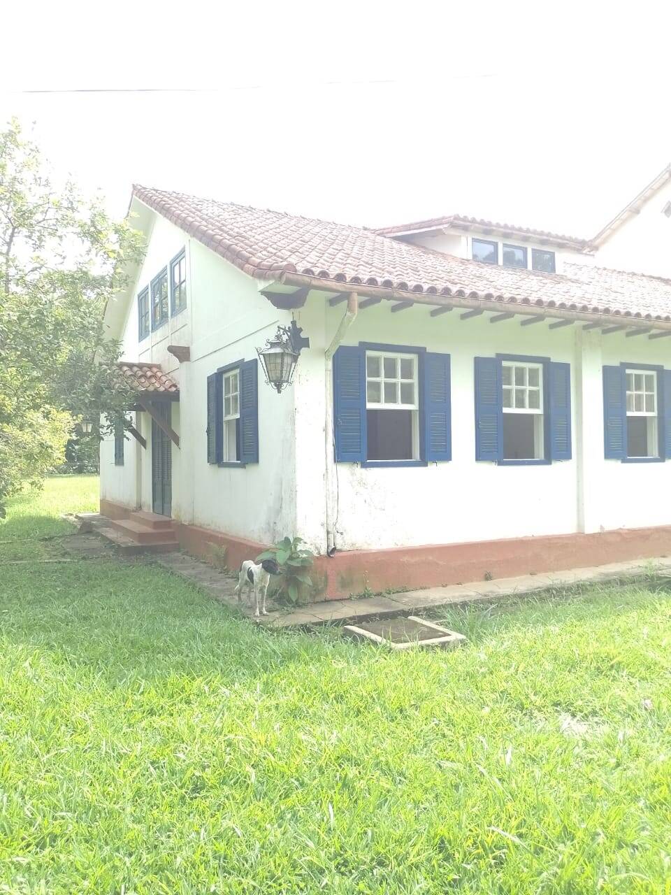 Sítio, 7 quartos, 1550 m² - Foto 3