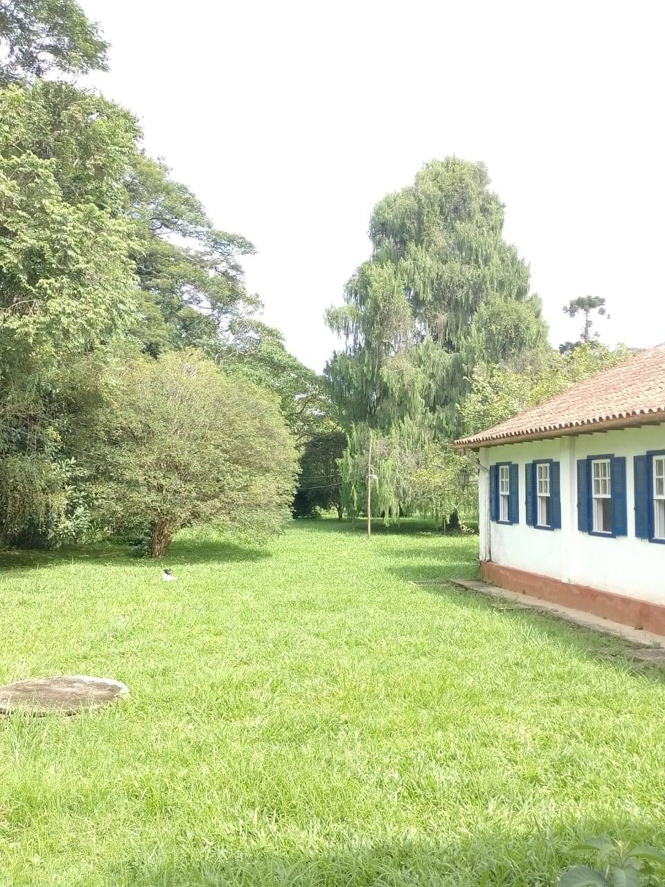 Sítio, 7 quartos, 1550 m² - Foto 5