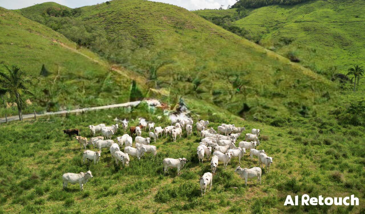 Fazenda, 102 m² - Foto 2