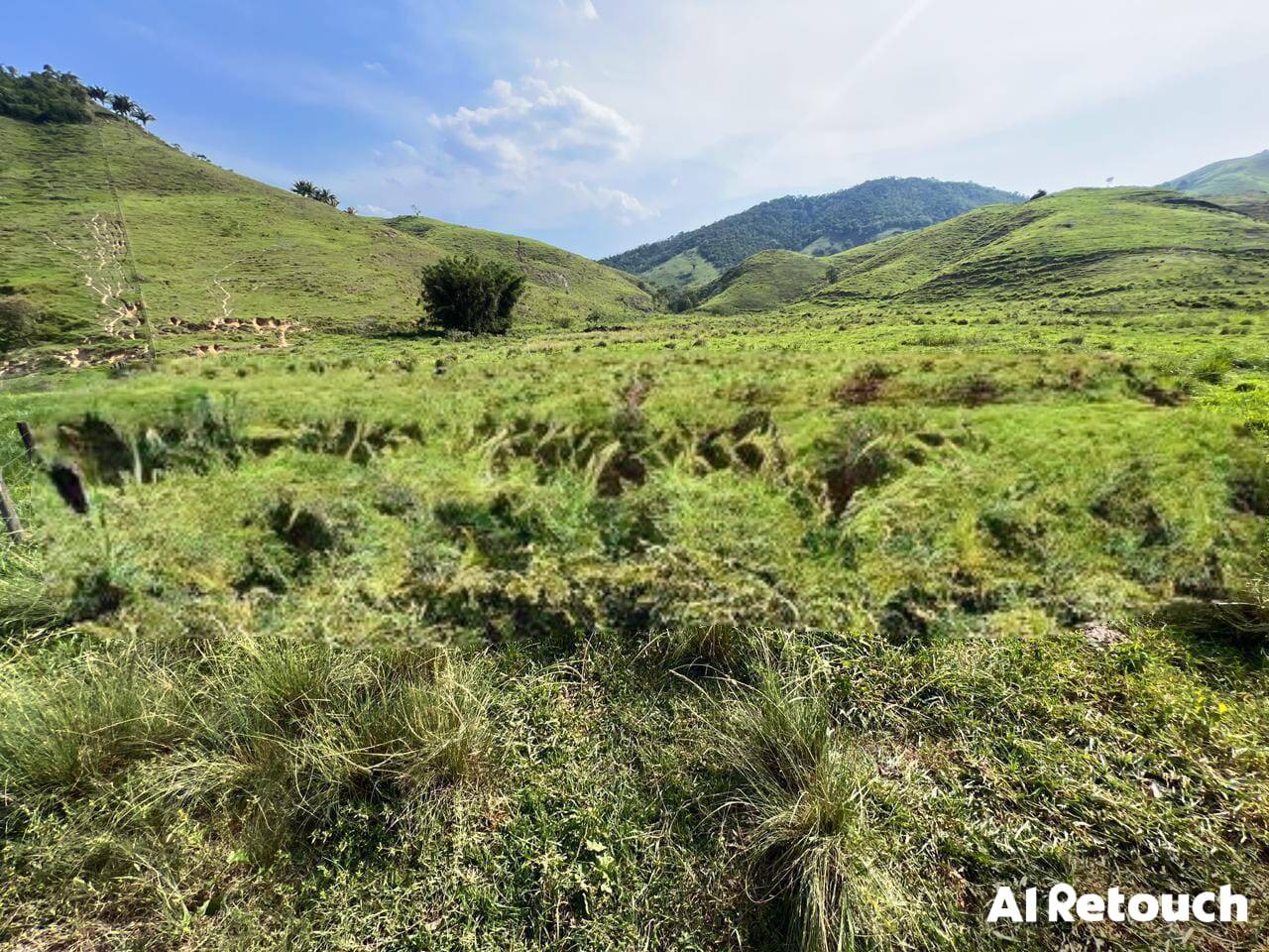 Fazenda, 102 m² - Foto 4