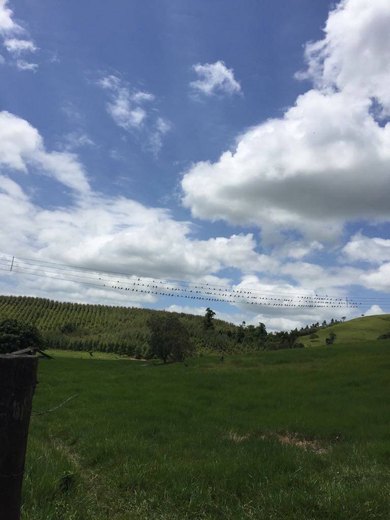 Fazenda, 30 m² - Foto 4