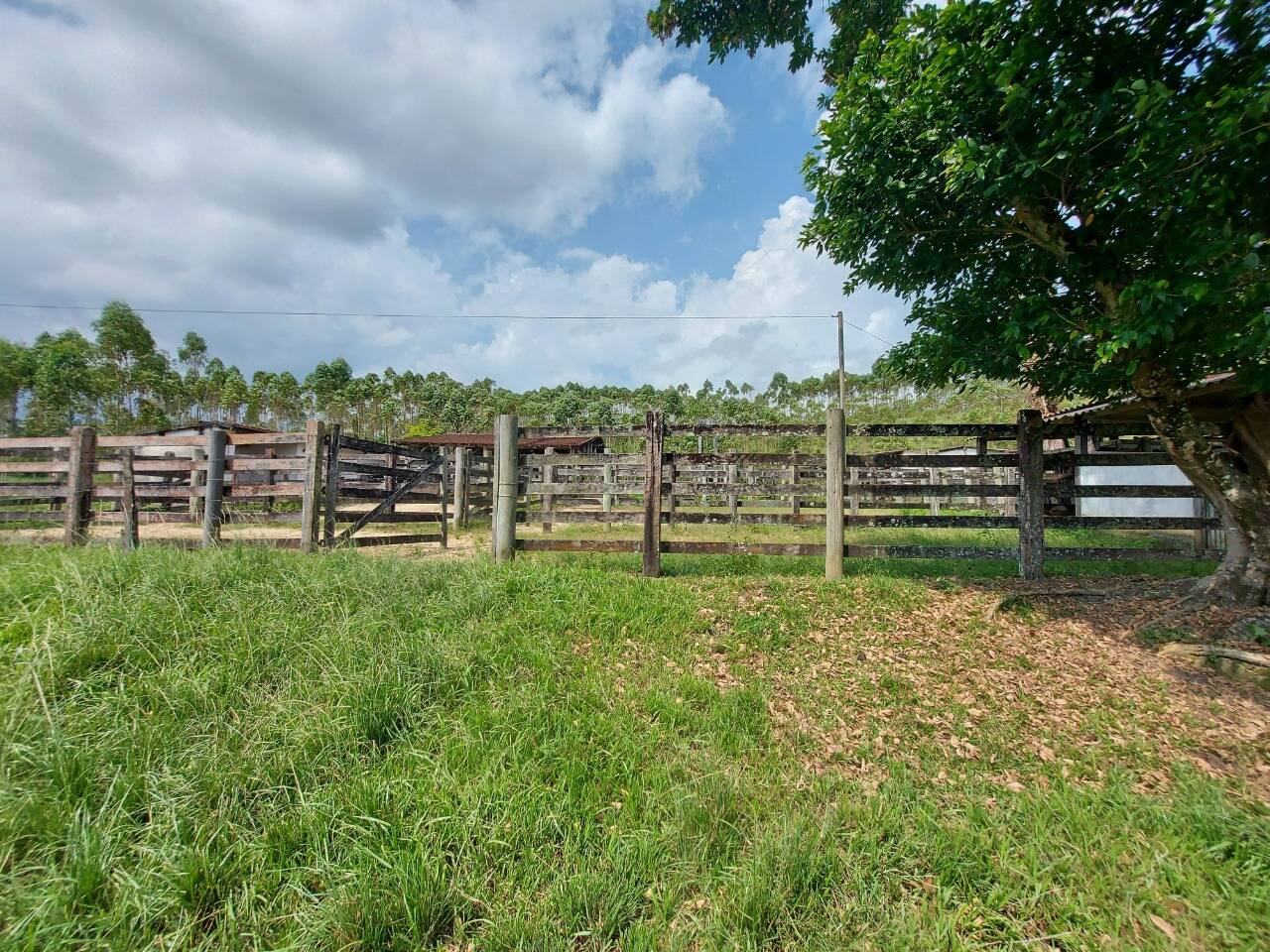 Fazenda, 30 m² - Foto 7