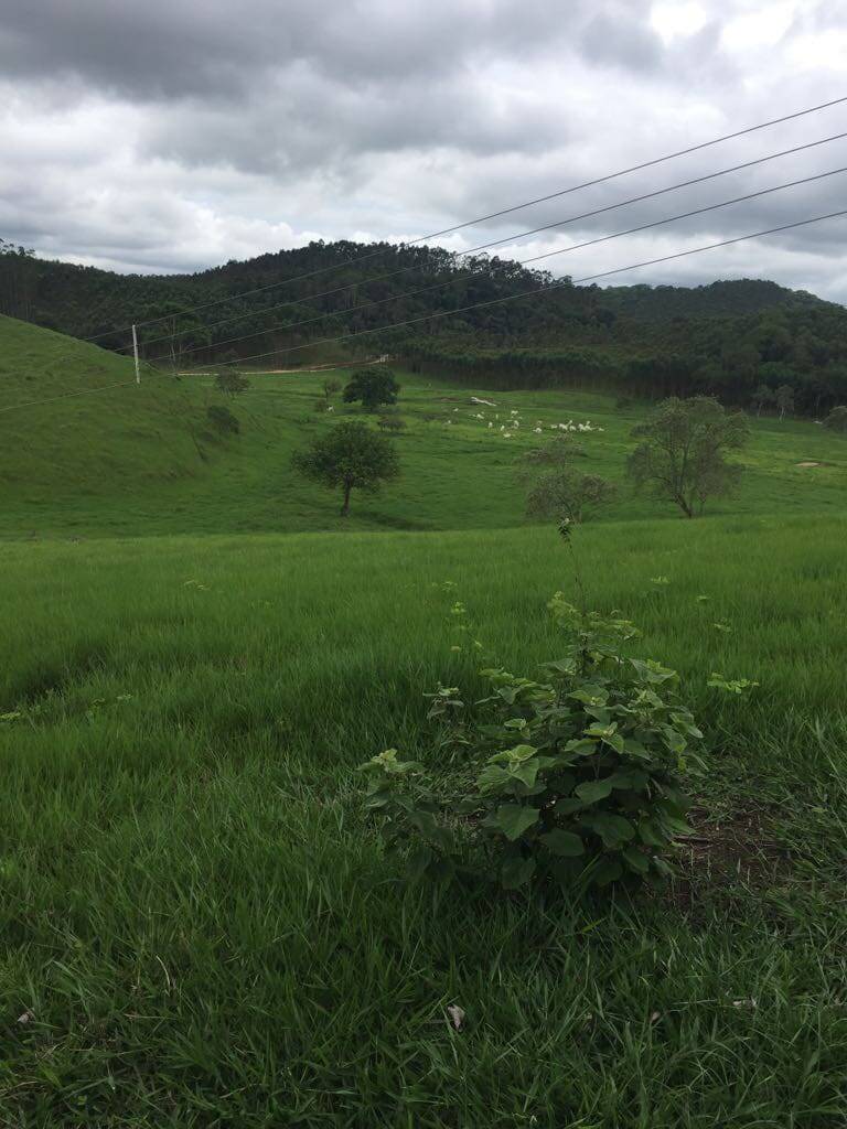 Fazenda, 30 m² - Foto 8