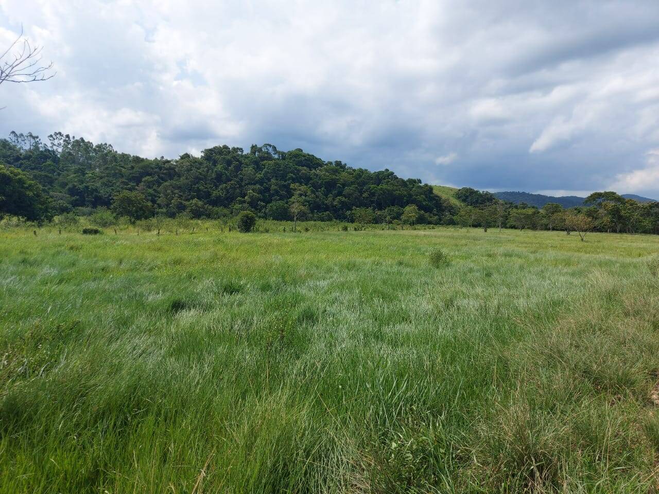 Fazenda, 30 m² - Foto 10