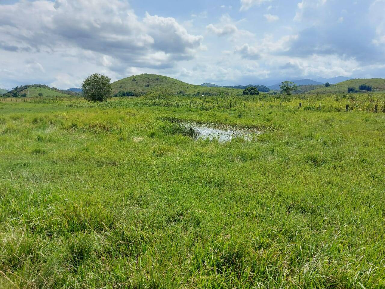Fazenda, 30 m² - Foto 13