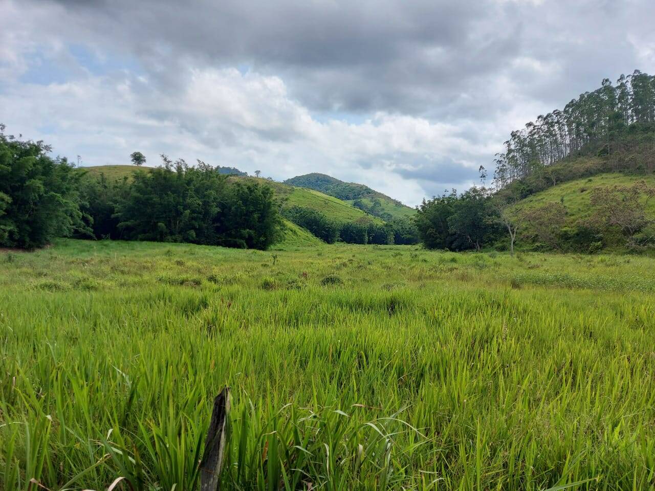 Fazenda, 30 m² - Foto 14