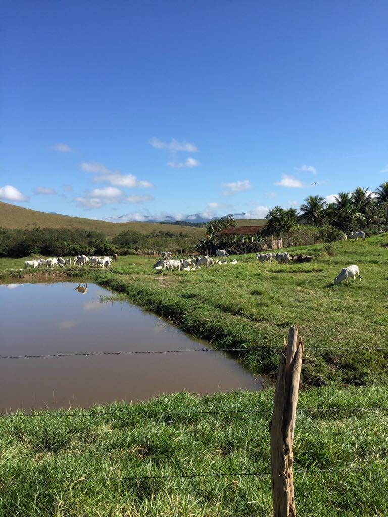 Fazenda, 30 m² - Foto 17