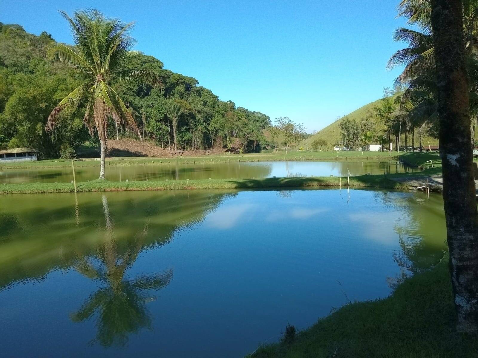 Fazenda, 20 m² - Foto 7