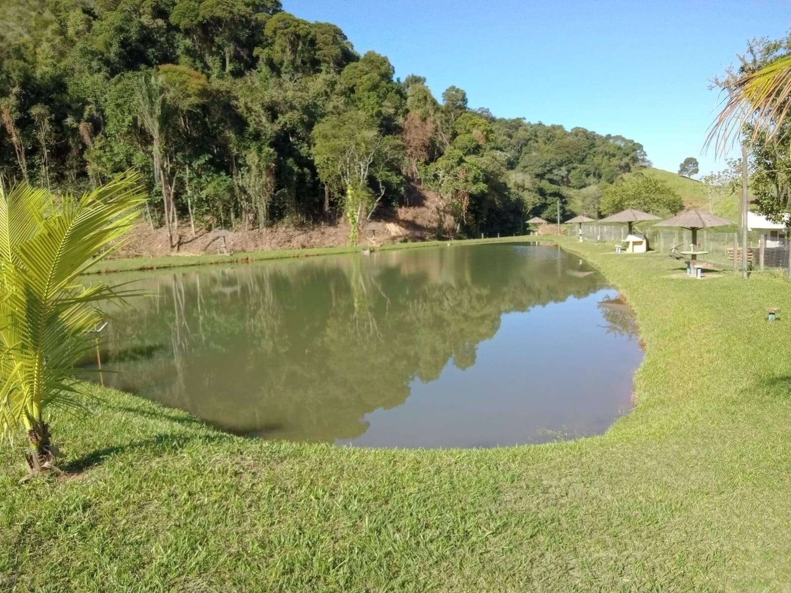 Fazenda, 20 m² - Foto 6