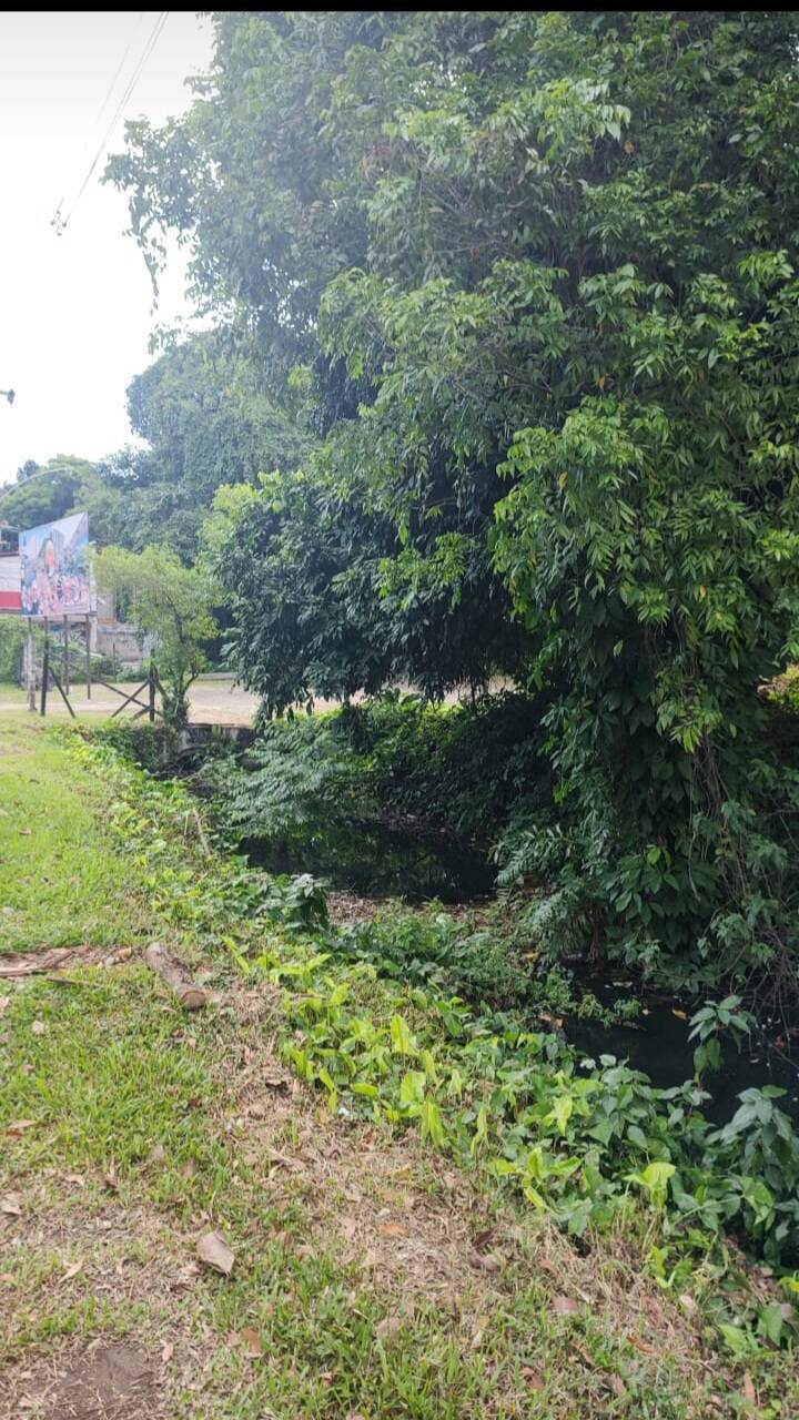 Terreno, 1 hectares - Foto 1