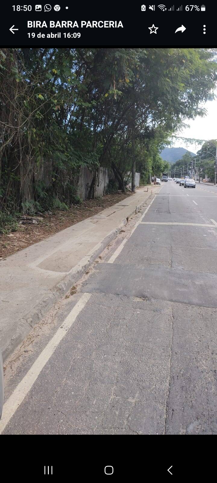 Terreno, 5 hectares - Foto 3