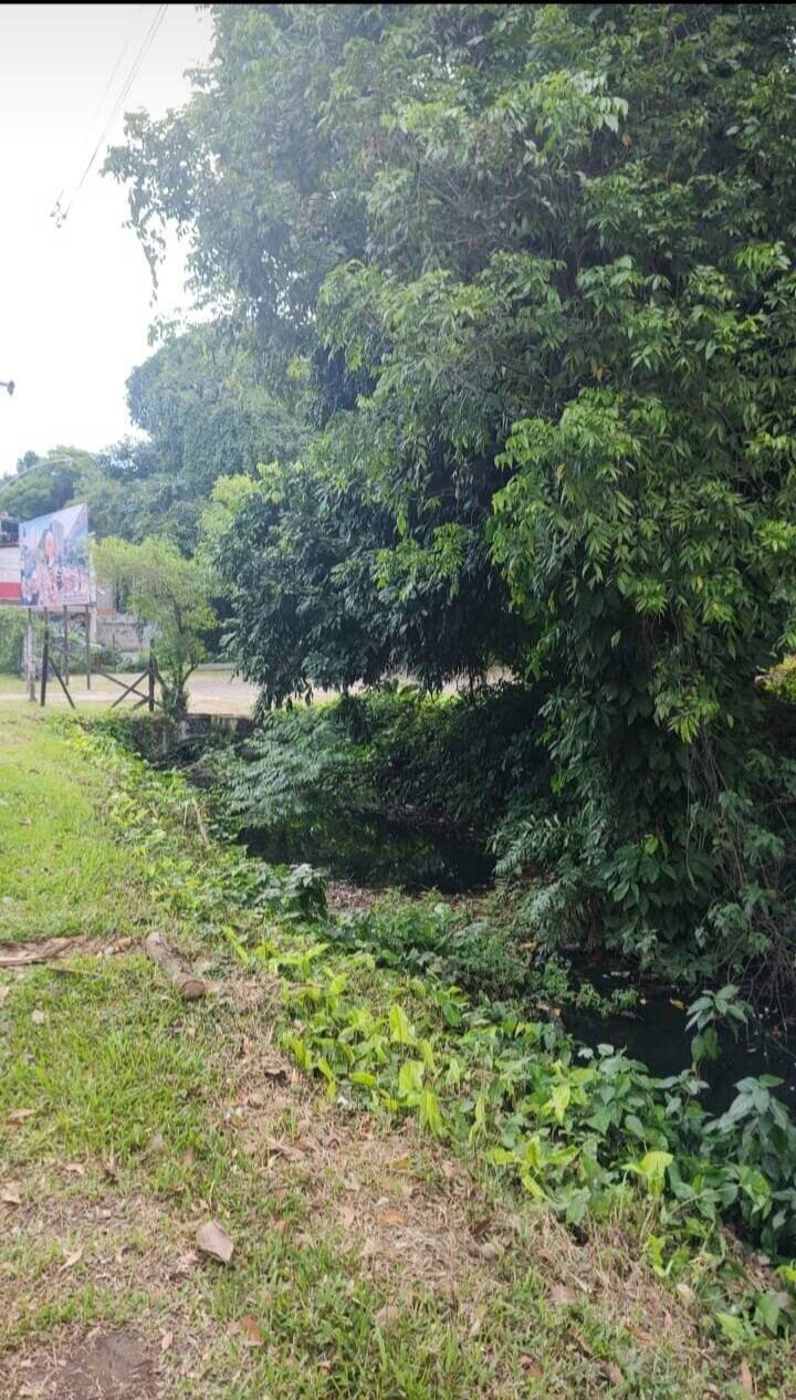 Terreno, 3150 m² - Foto 3