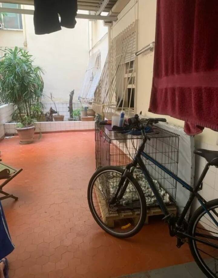 Apartamento, 4 quartos, 167 m² - Foto 8