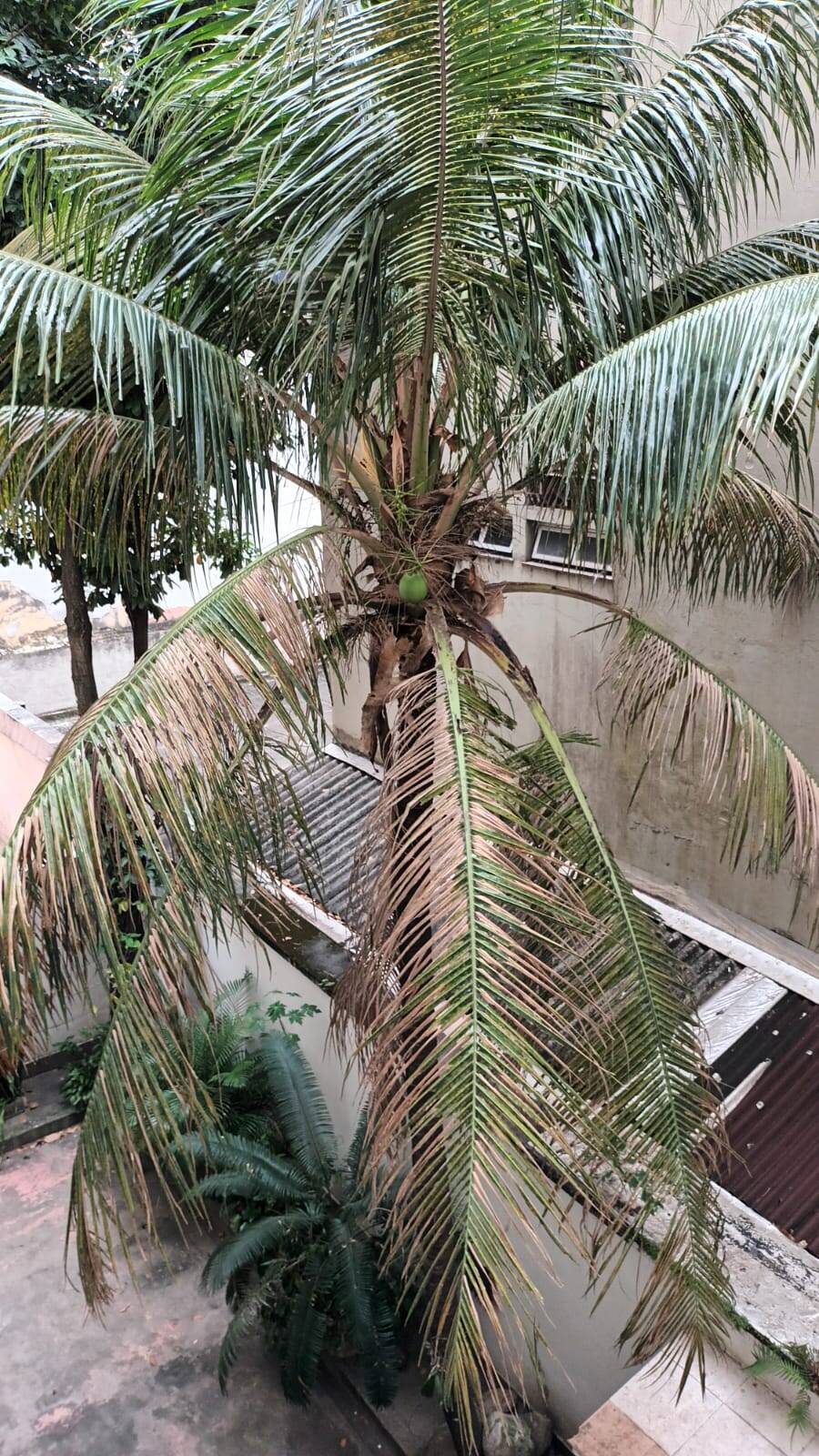 Apartamento, 2 quartos, 90 m² - Foto 21