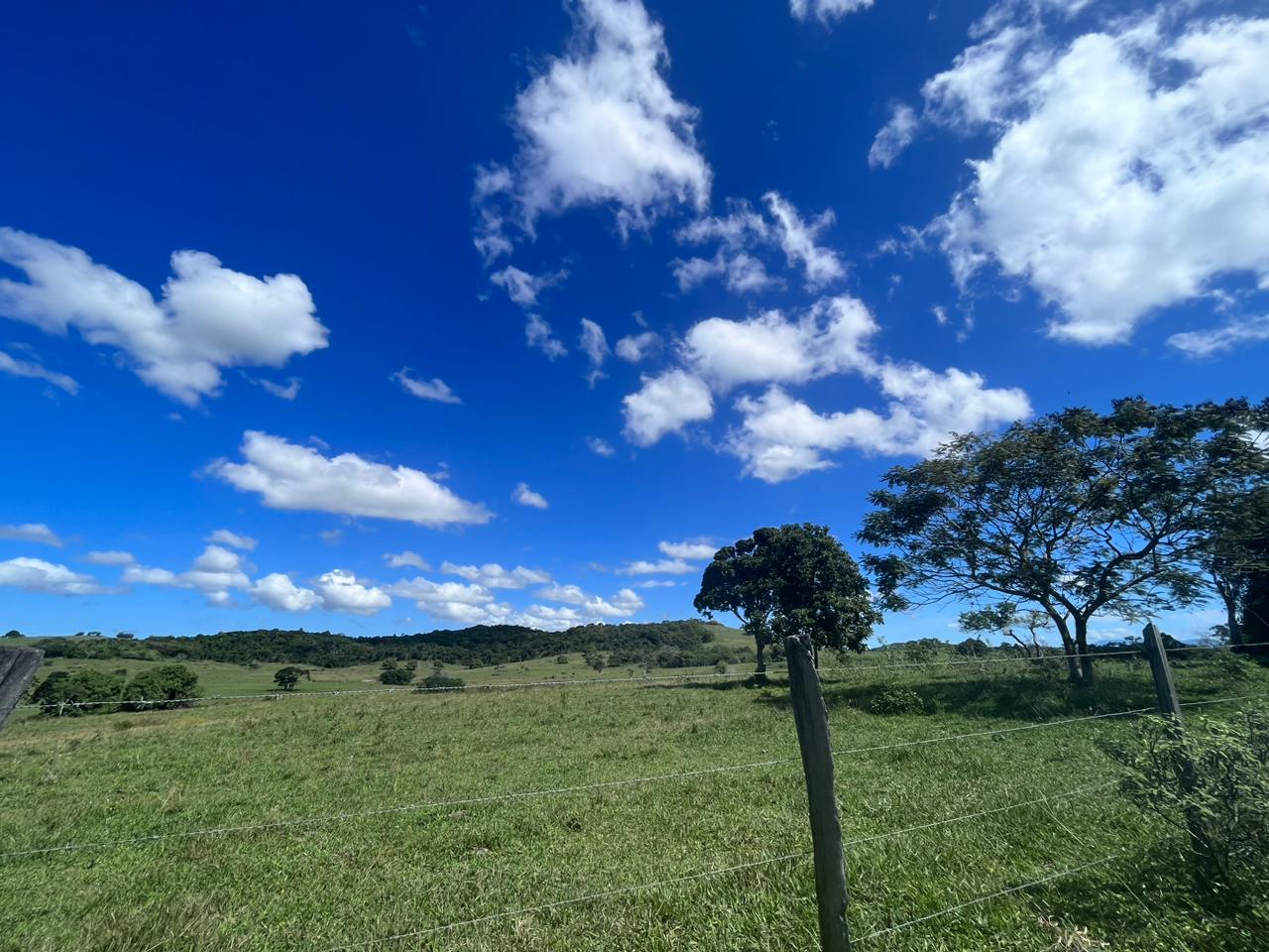 Fazenda, 600 m² - Foto 4