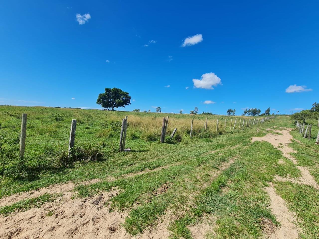 Fazenda, 600 m² - Foto 7