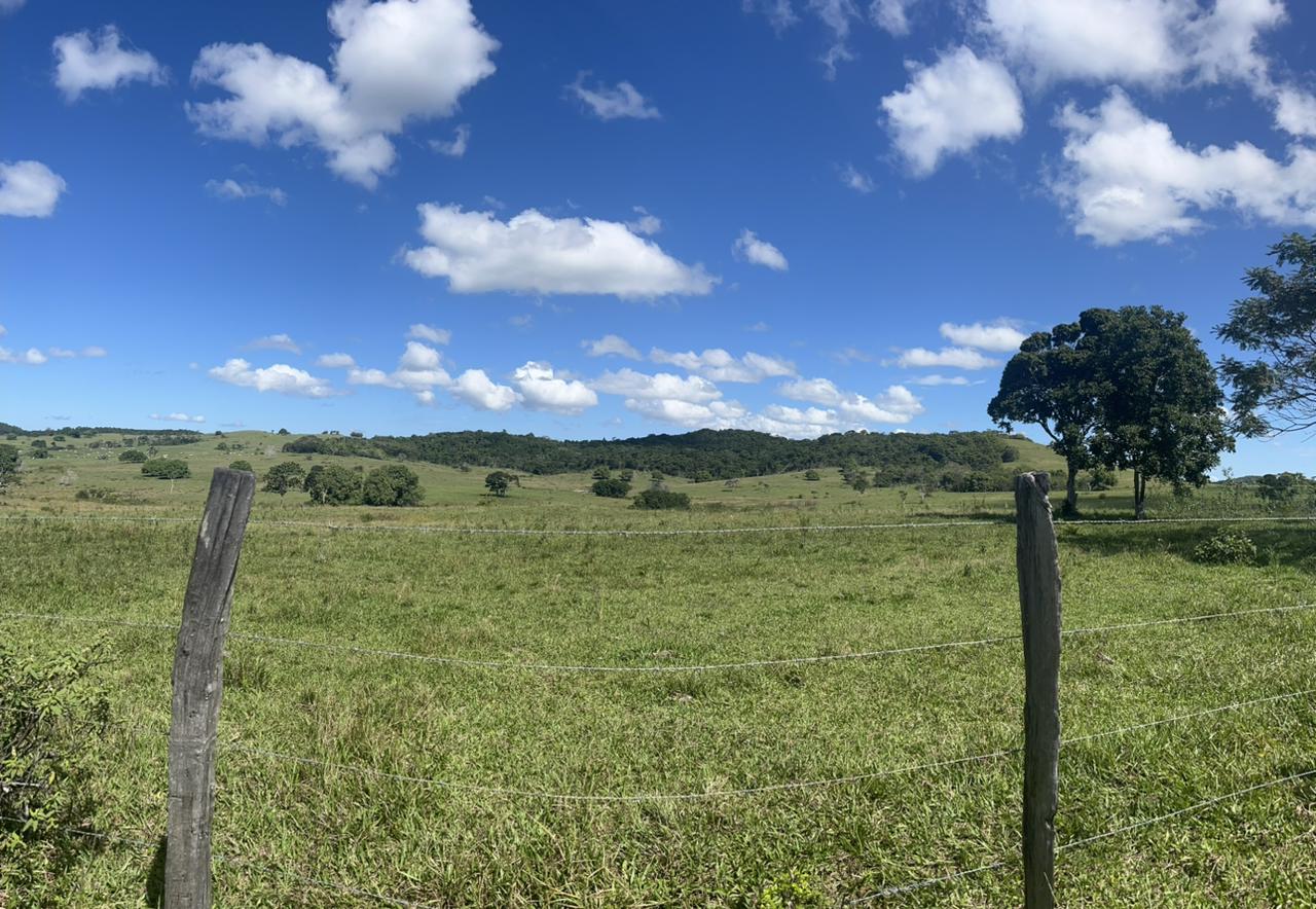 Fazenda, 600 m² - Foto 6