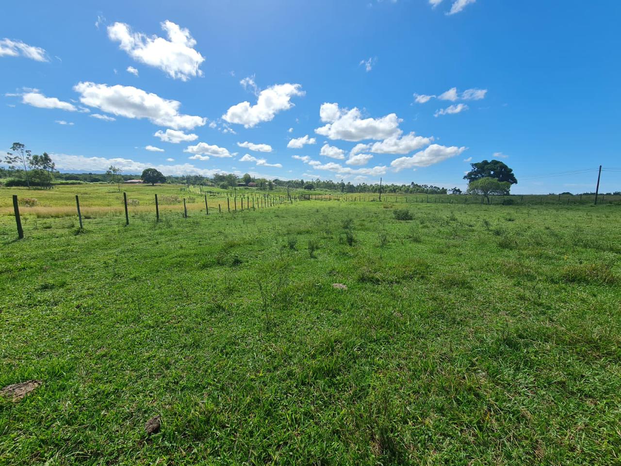 Fazenda, 600 m² - Foto 9