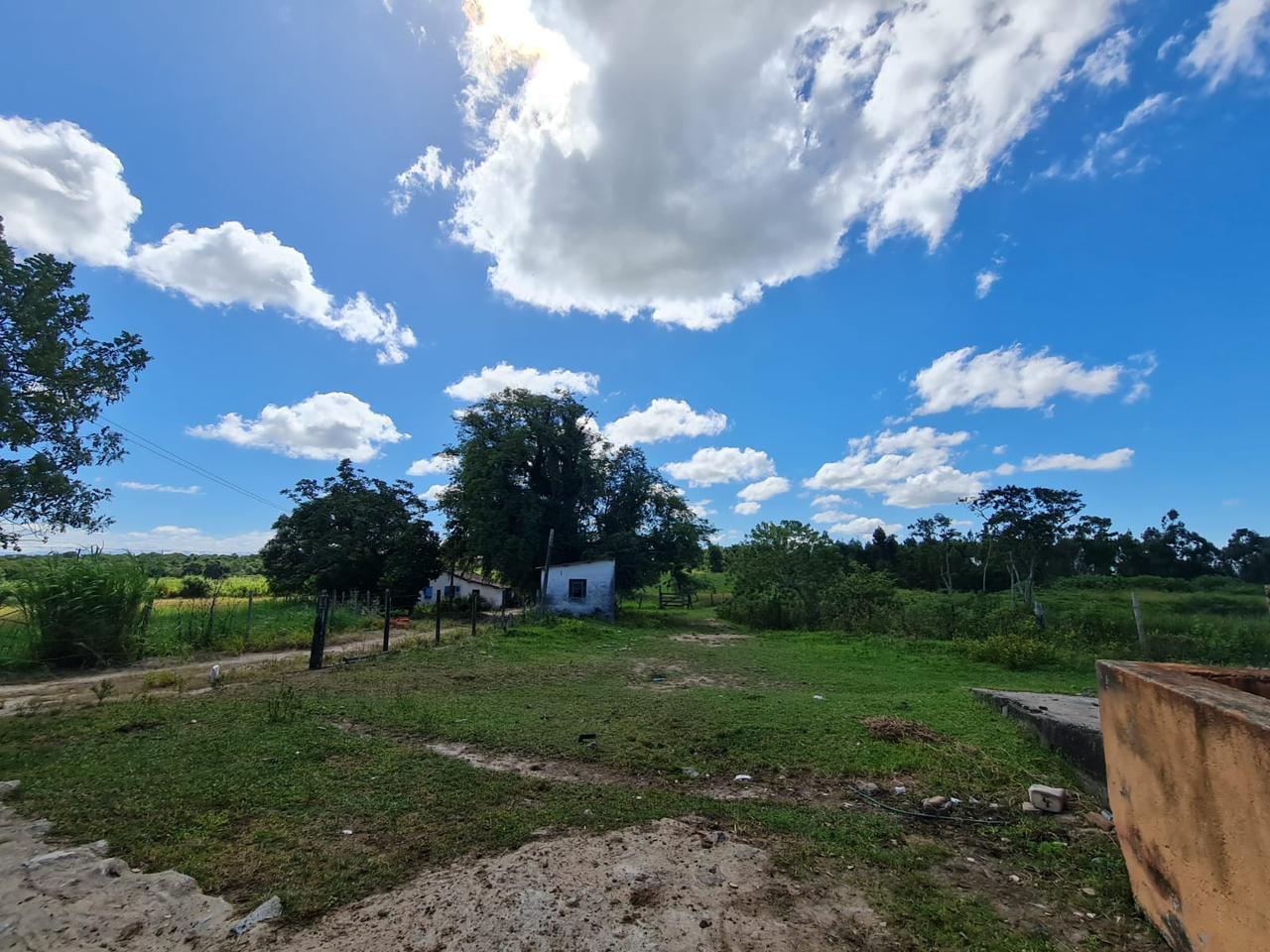 Fazenda, 600 m² - Foto 10