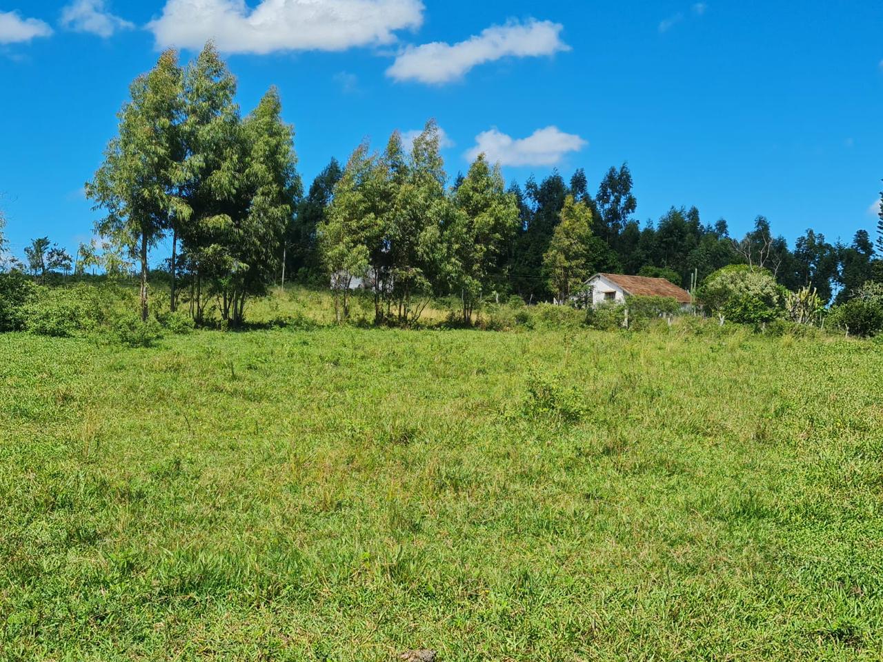 Fazenda, 600 m² - Foto 12