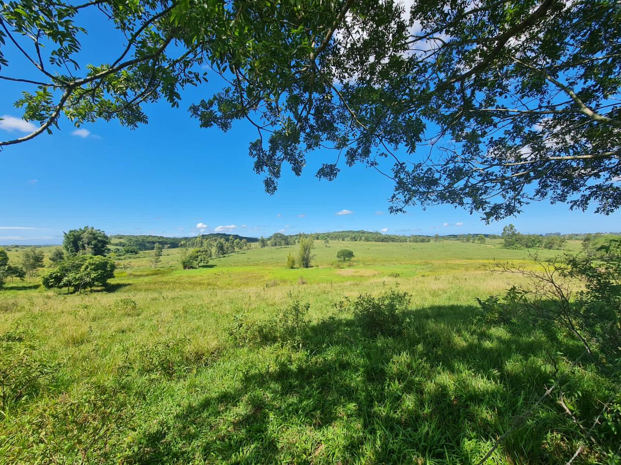 Fazenda, 600 m² - Foto 14