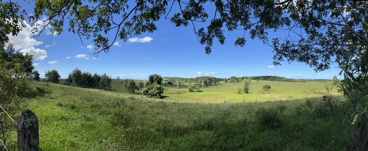 Fazenda, 600 m² - Foto 13