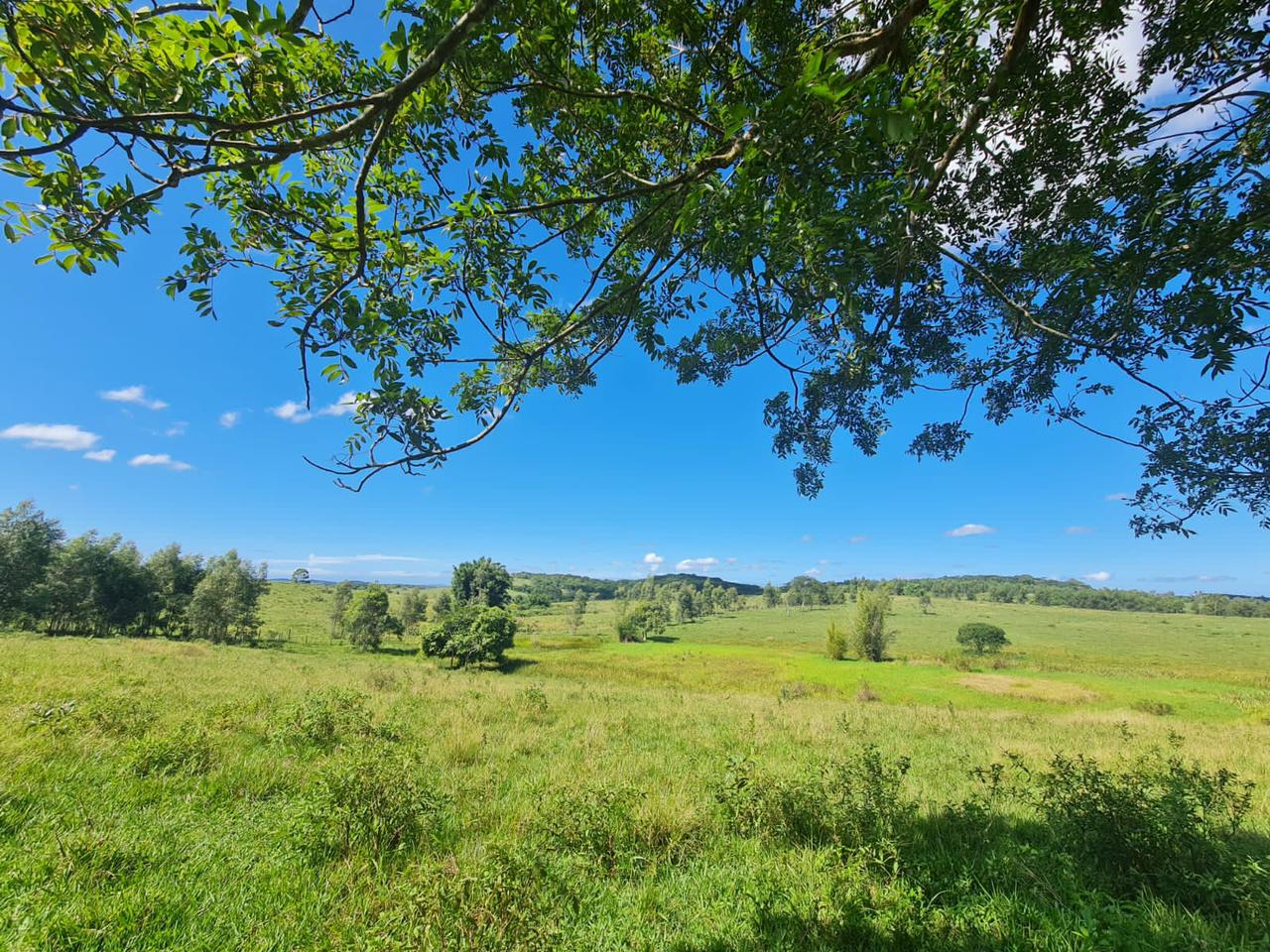 Fazenda, 600 m² - Foto 16