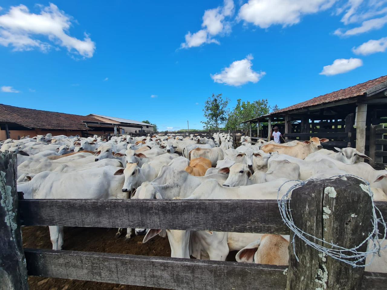 Fazenda, 600 m² - Foto 17