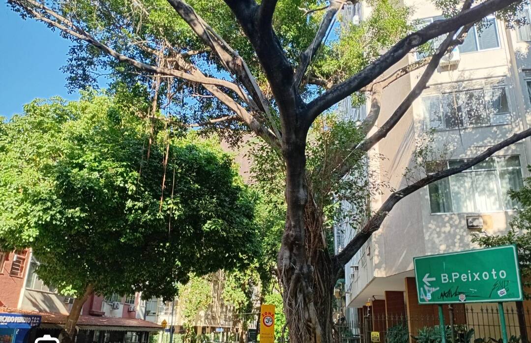 Apartamento, 3 quartos, 80 m² - Foto 2