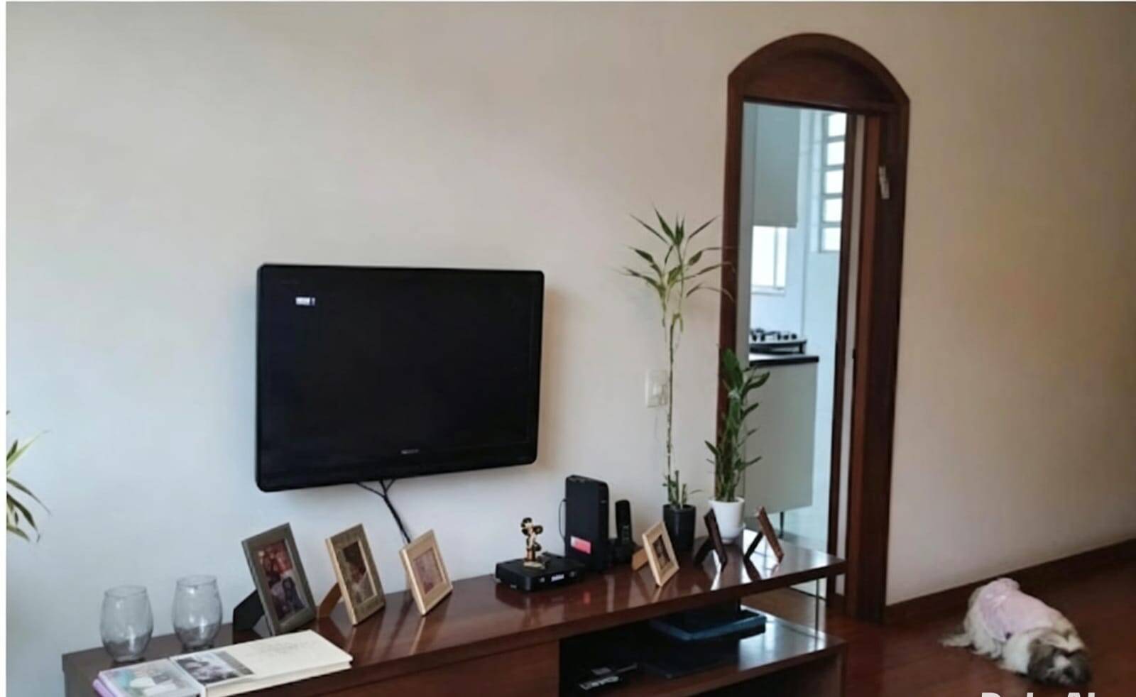 Apartamento  de 3 quartos  vista Verde sossego total, perto metrô  financia
