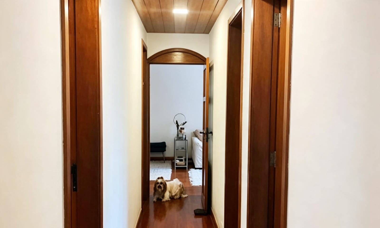 Apartamento  de 3 quartos  vista Verde sossego total, perto metrô  financia