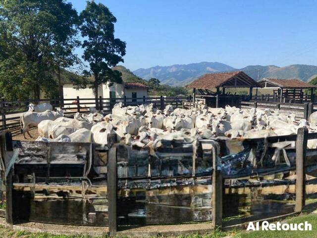 #SER.1 - Fazenda para Venda em Rio Bonito - RJ - 1