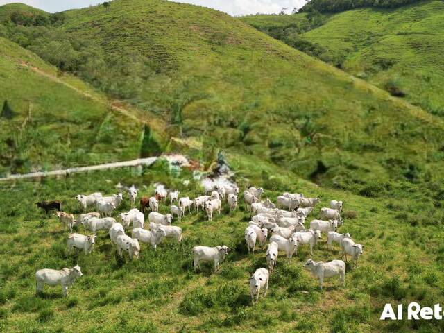 #SER.1 - Fazenda para Venda em Rio Bonito - RJ - 2