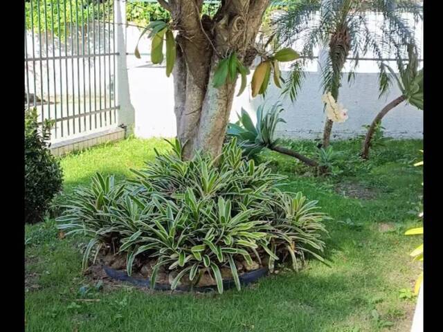 Apartamento para Venda em Rio de Janeiro - 4