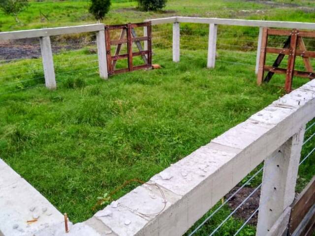 #Bento382 - Fazenda para Venda em Silva Jardim - RJ - 3